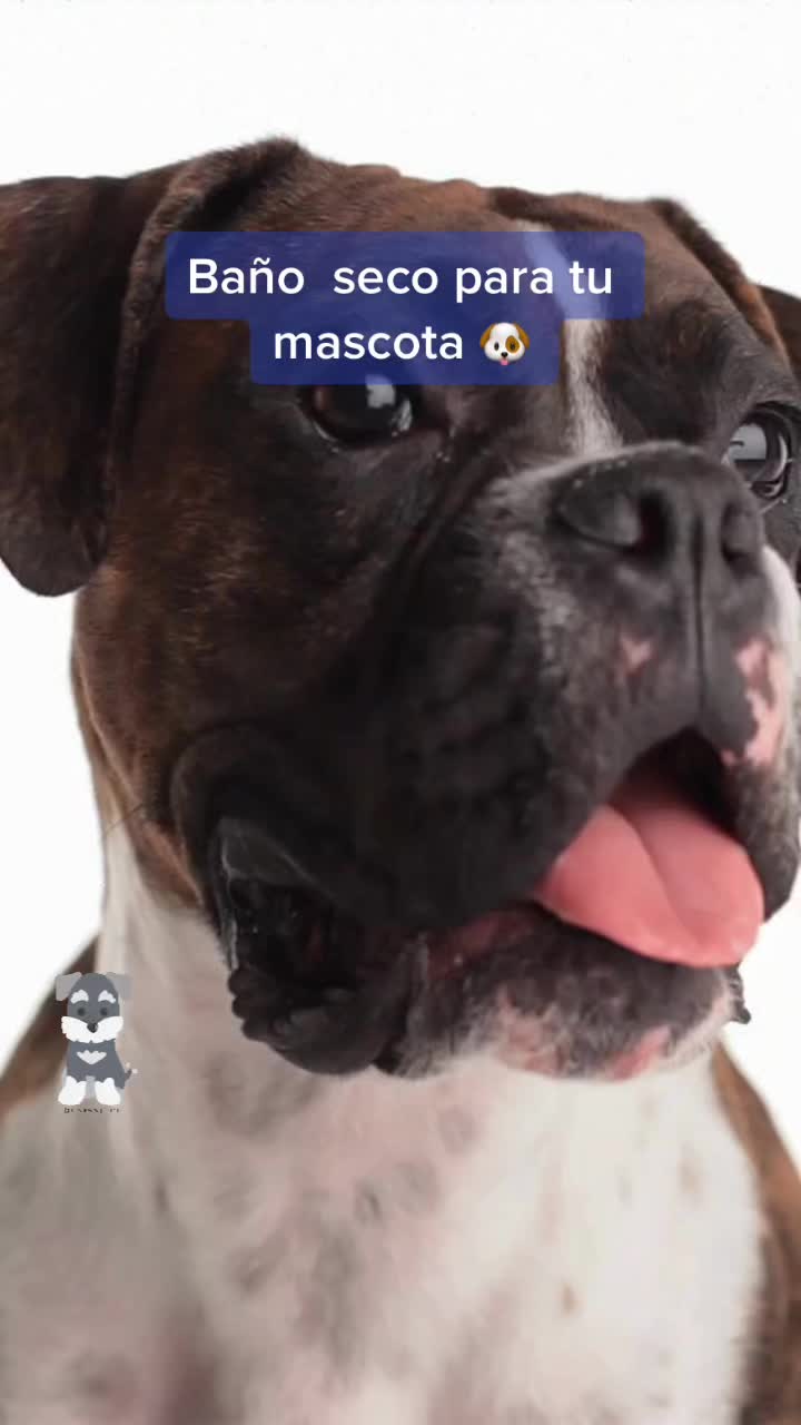 @mascotasfelices