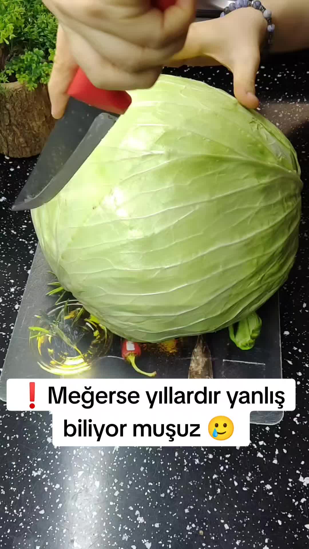 @aysegul