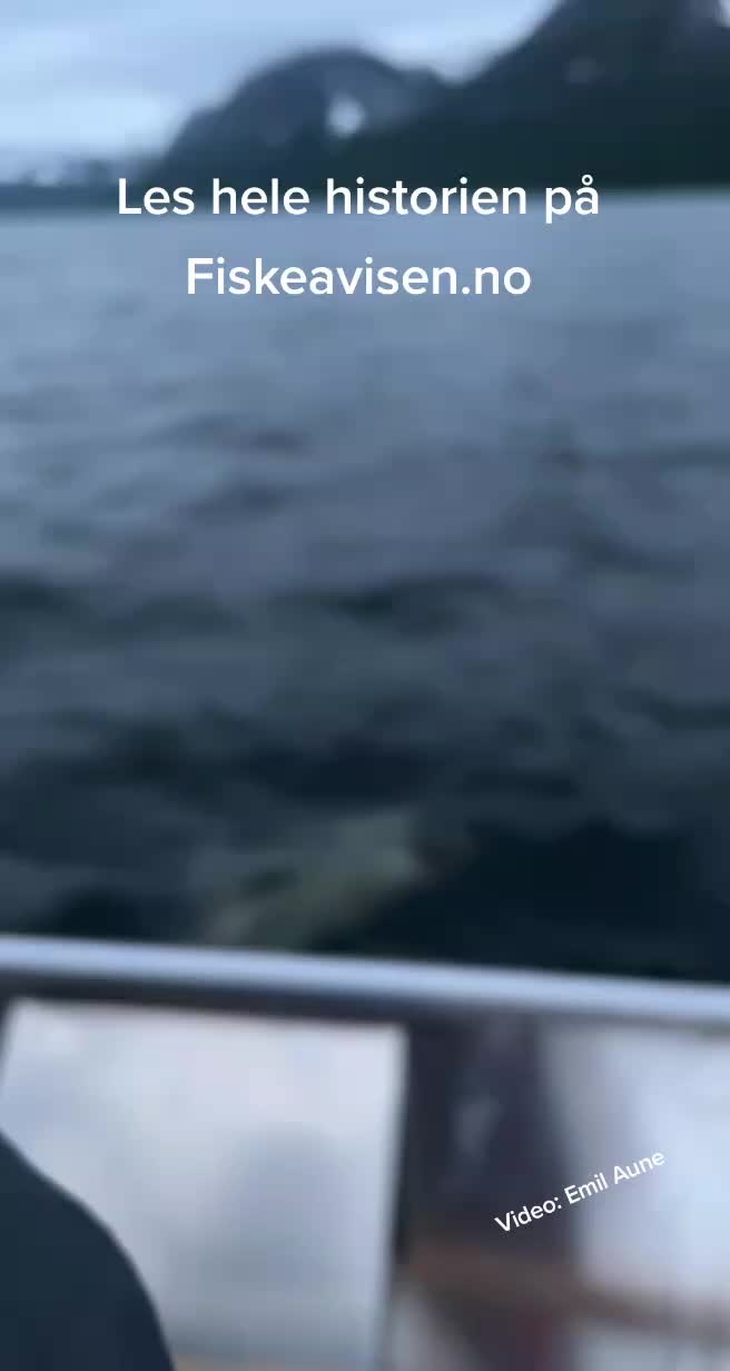 @Fiskeavisen.no