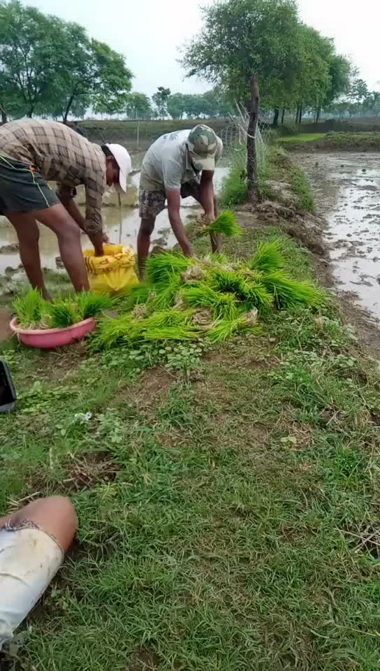 @Khuman Kaushik