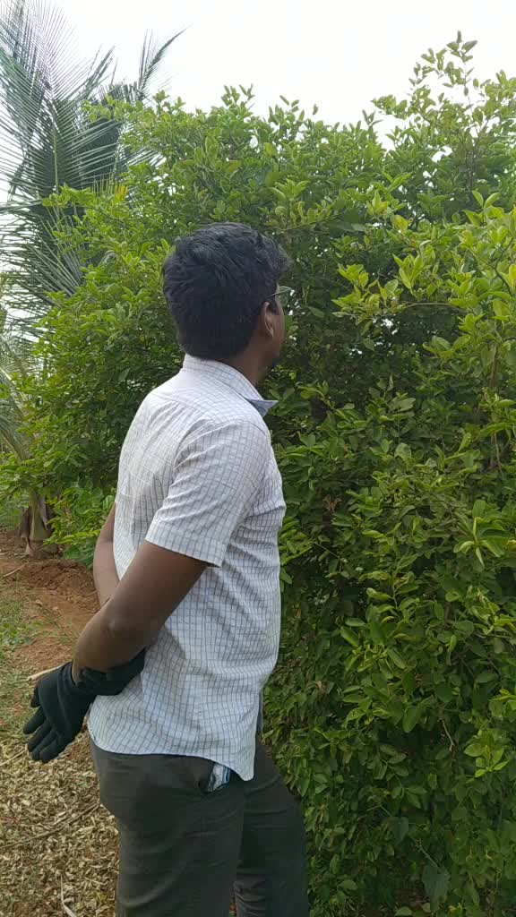 @இராவனண்
