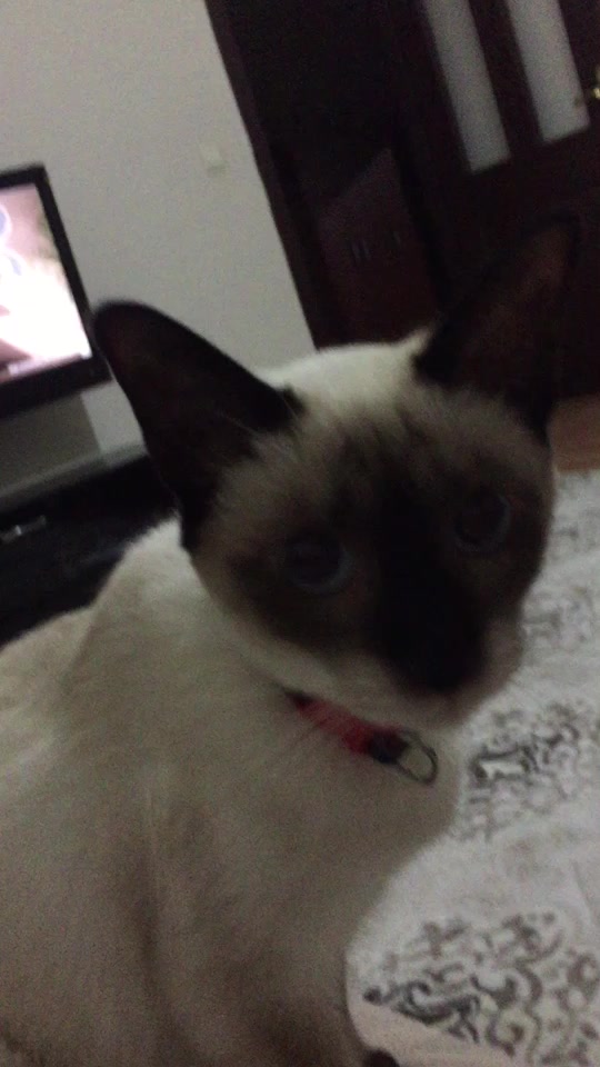 @ozan_3866
