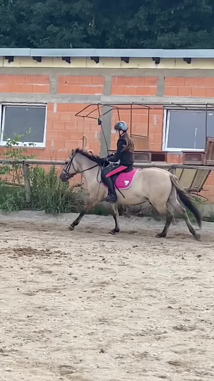 @W🦄