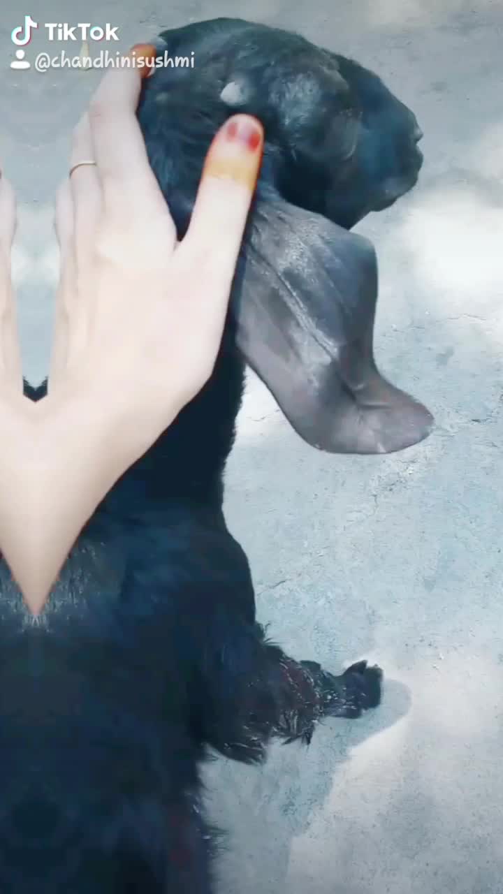 @chandhini_s