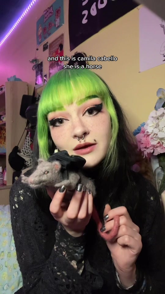 @kitty