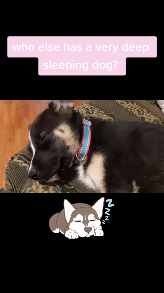@Nala_and_Raya