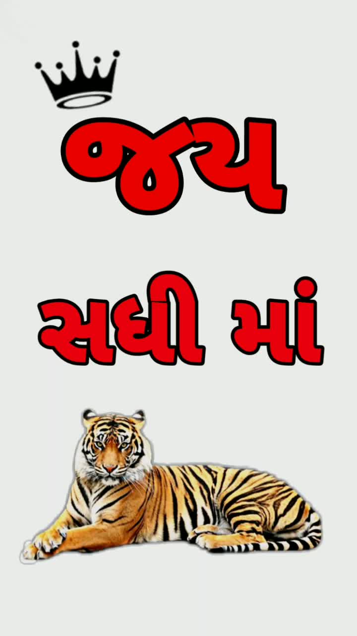 @vipulsinhvaghela