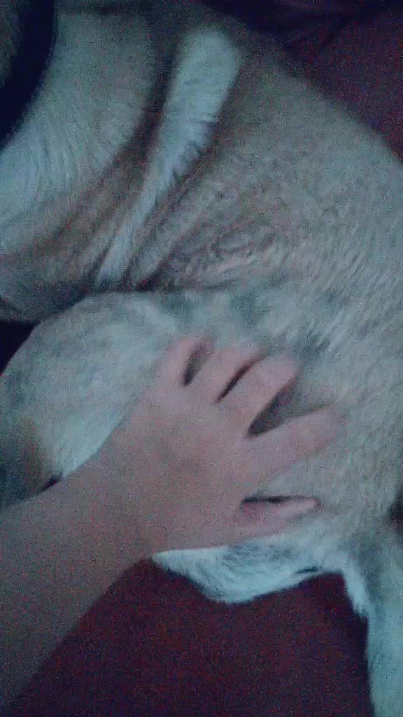 @Olga. Anouk