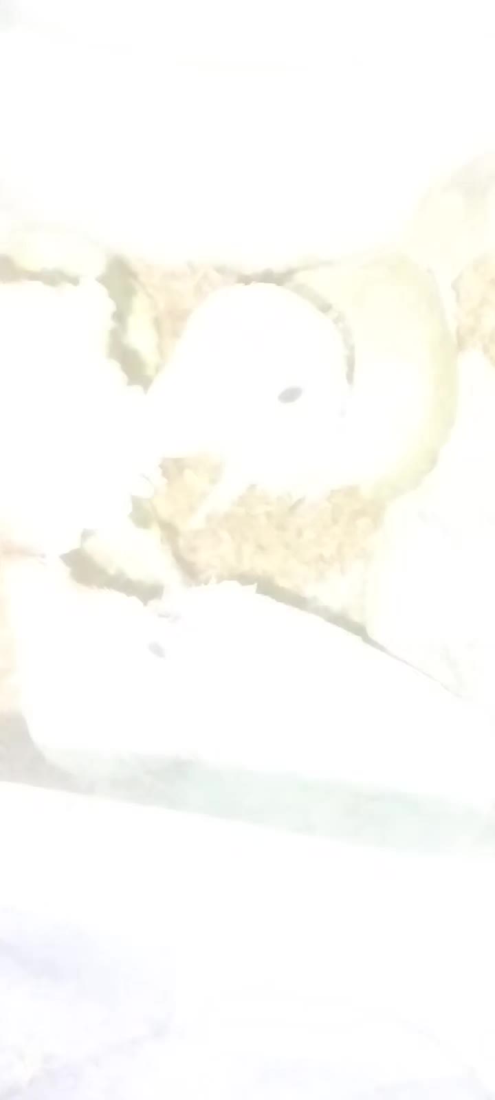 @melihhhhh