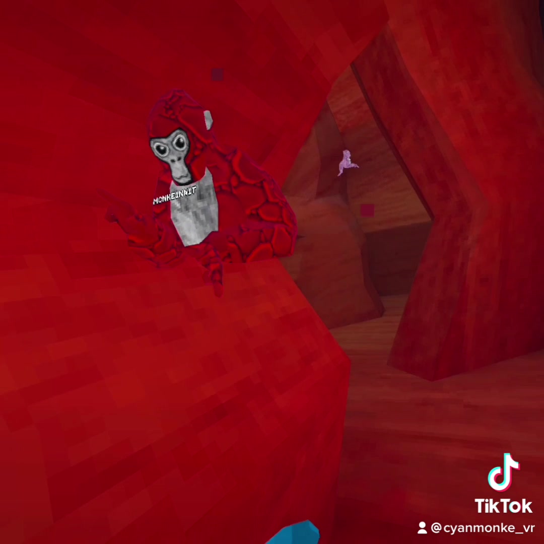 @Cyamonke_vr