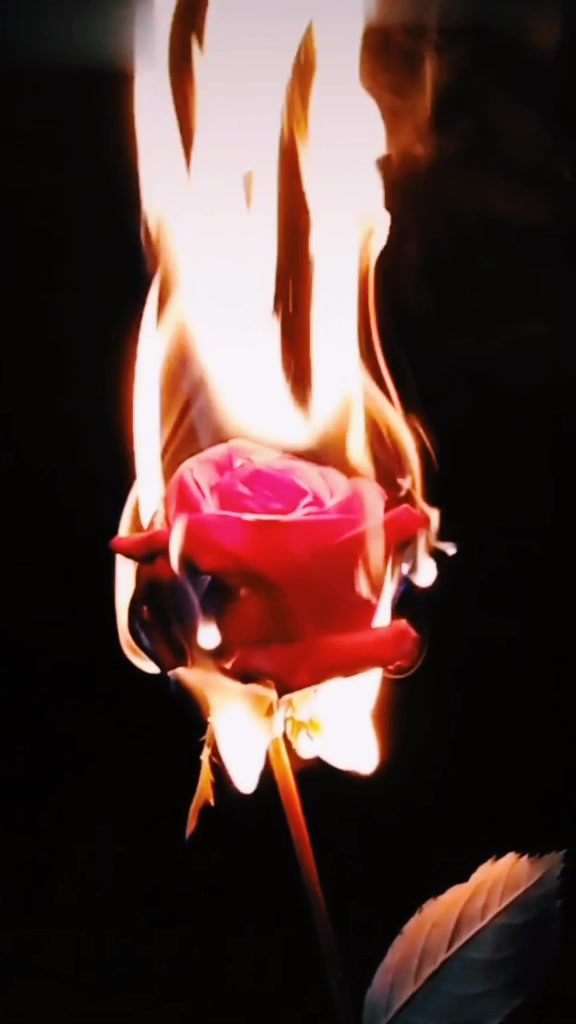 @Jubair550