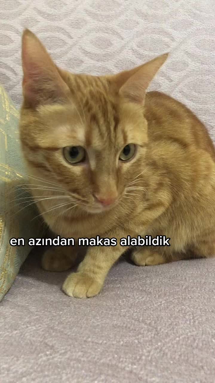 @Paşa Bebek