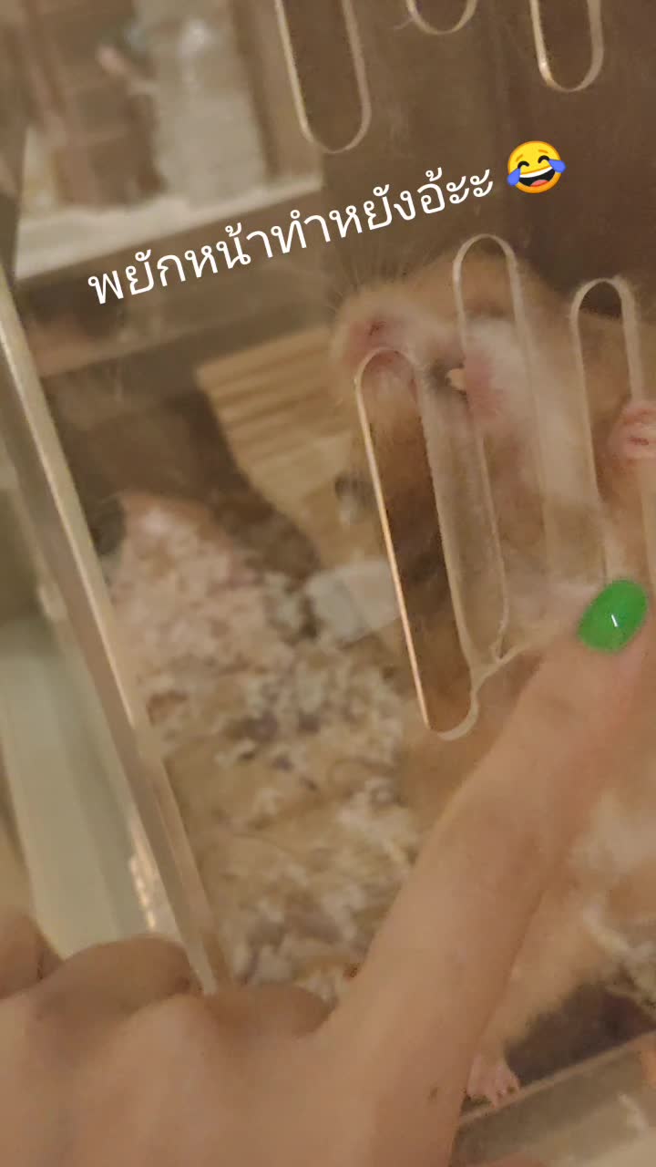 @COOKIEJUNP