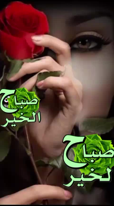 @Najlaa El Amrani