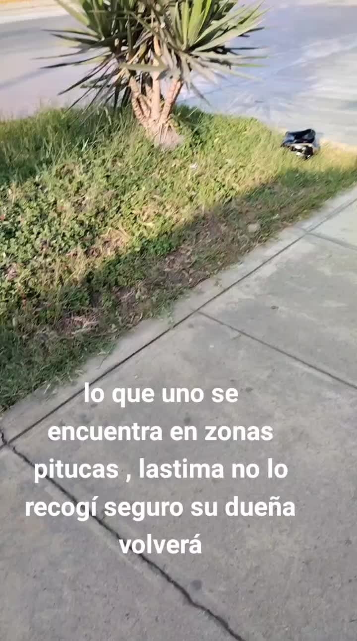 @equisequis