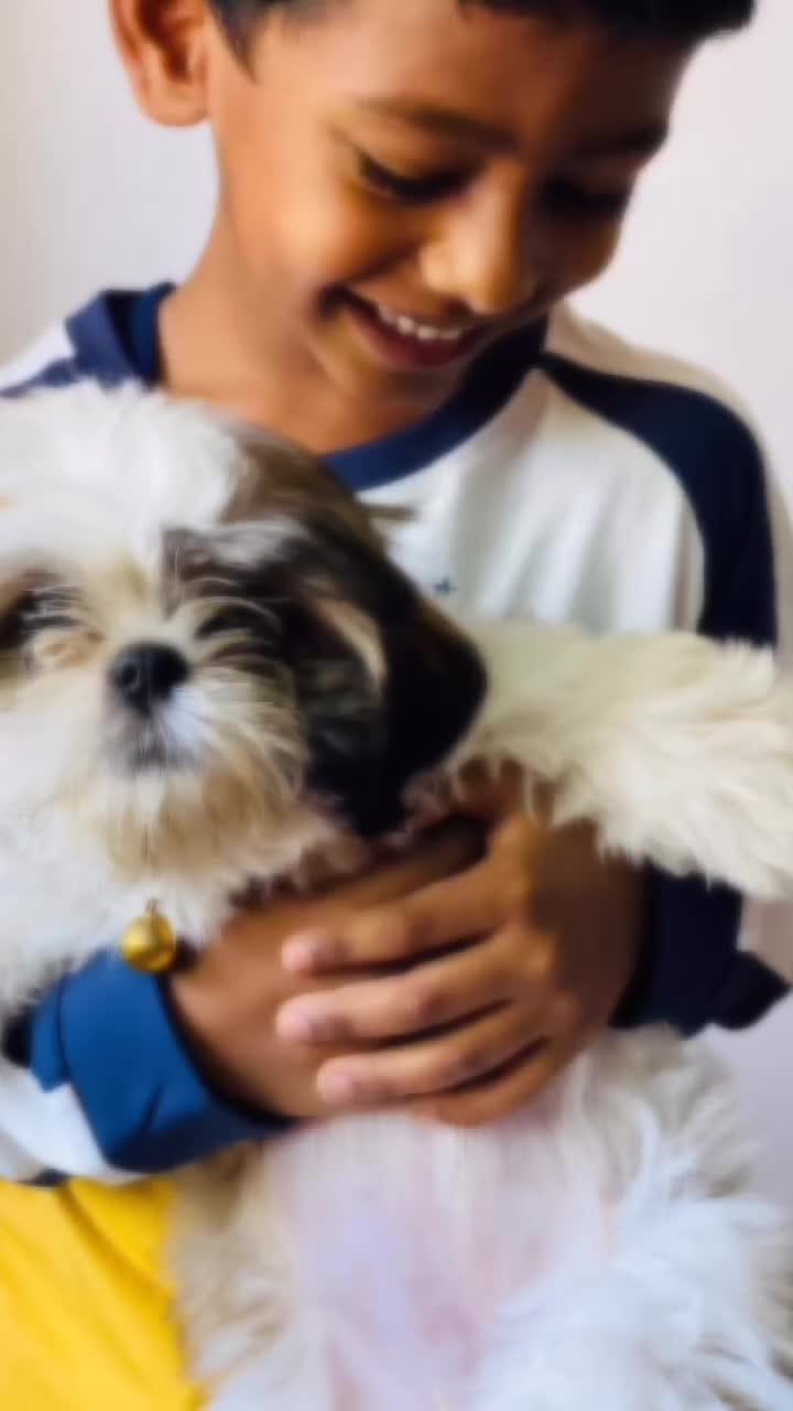 @Shyni