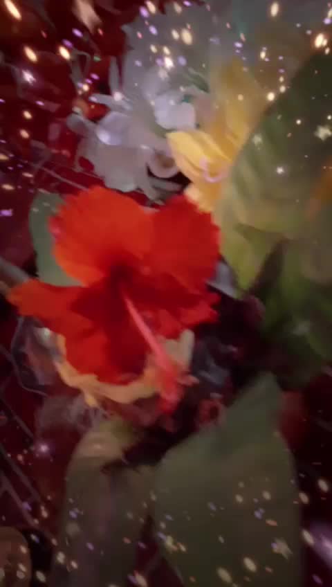 @Sandhya Pawar