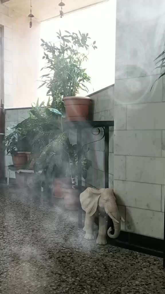 @Ajit Kumar b