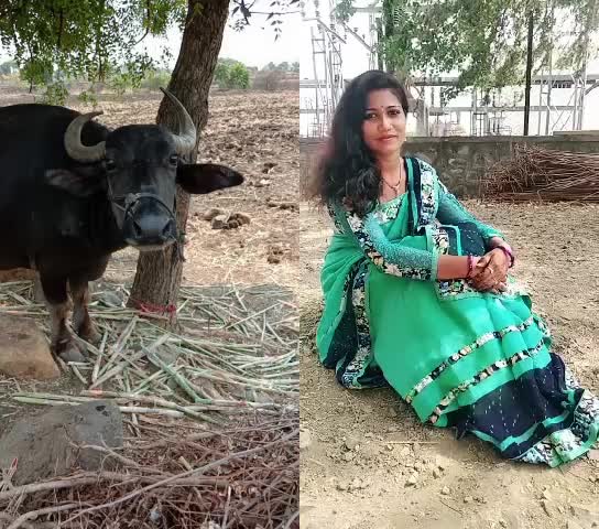 @gajanan Patil shinde
