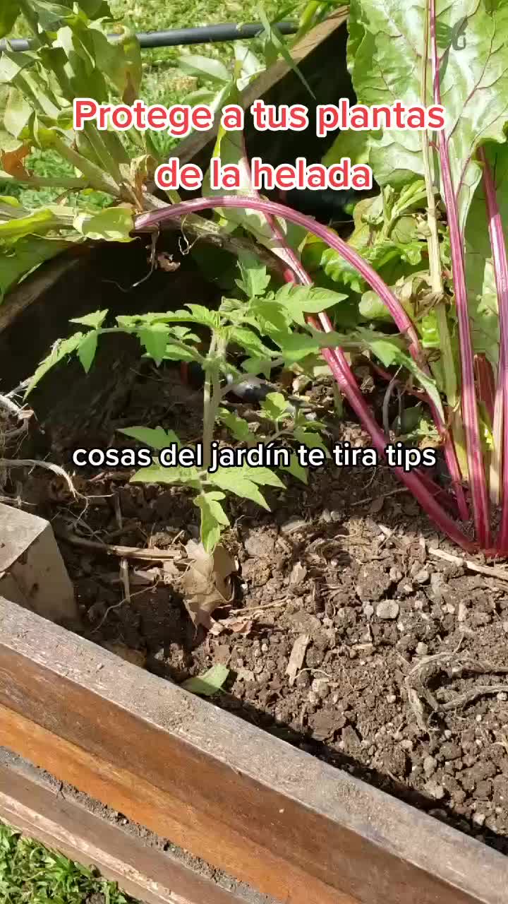 @Pasi&oacute;n a la jardiner&iacute;a🌺💦👈🏼