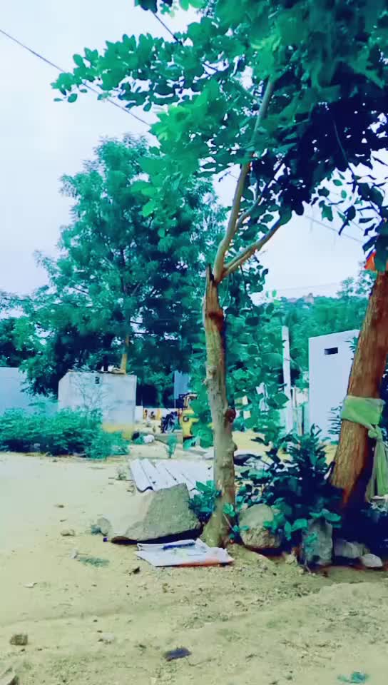@raju ss