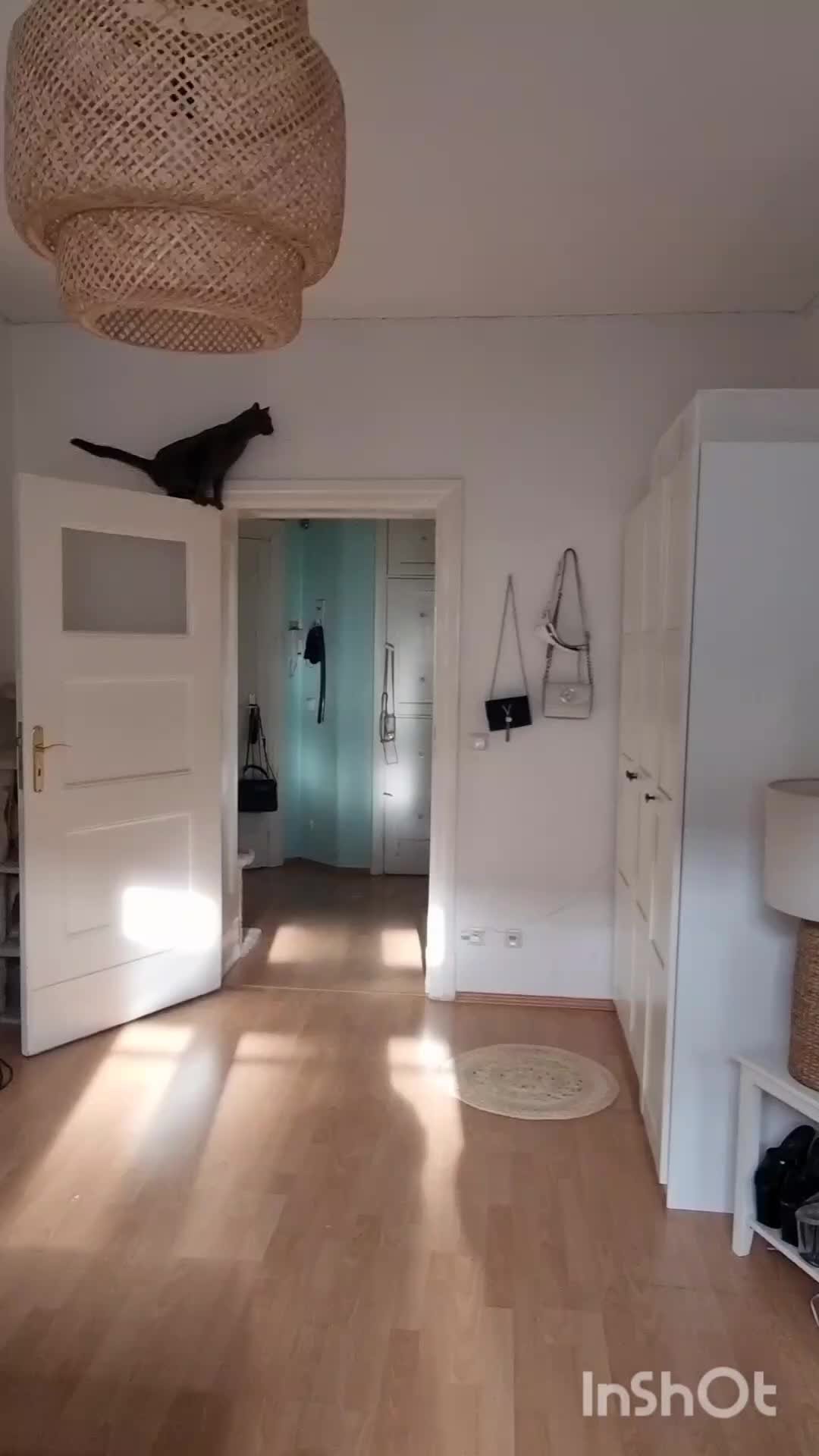 @LeeTizia