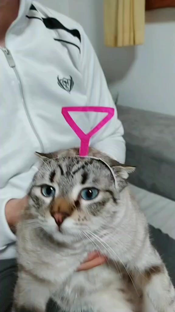 @Erika Urli