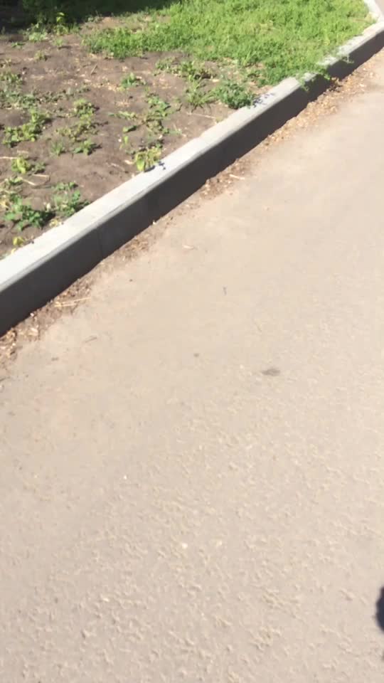 @Серега Пронин