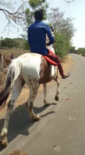 @Shubham Chouhan
