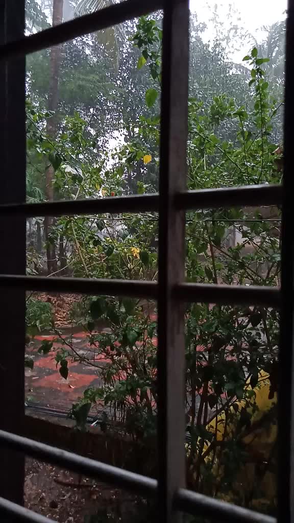 @𝓝𝓪𝓿𝔂𝓪