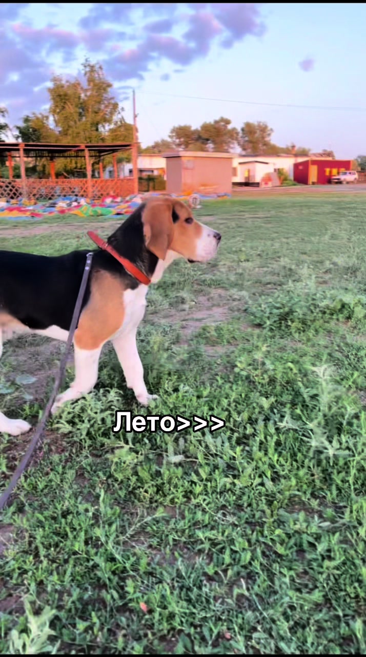 @Бред Максима🤪