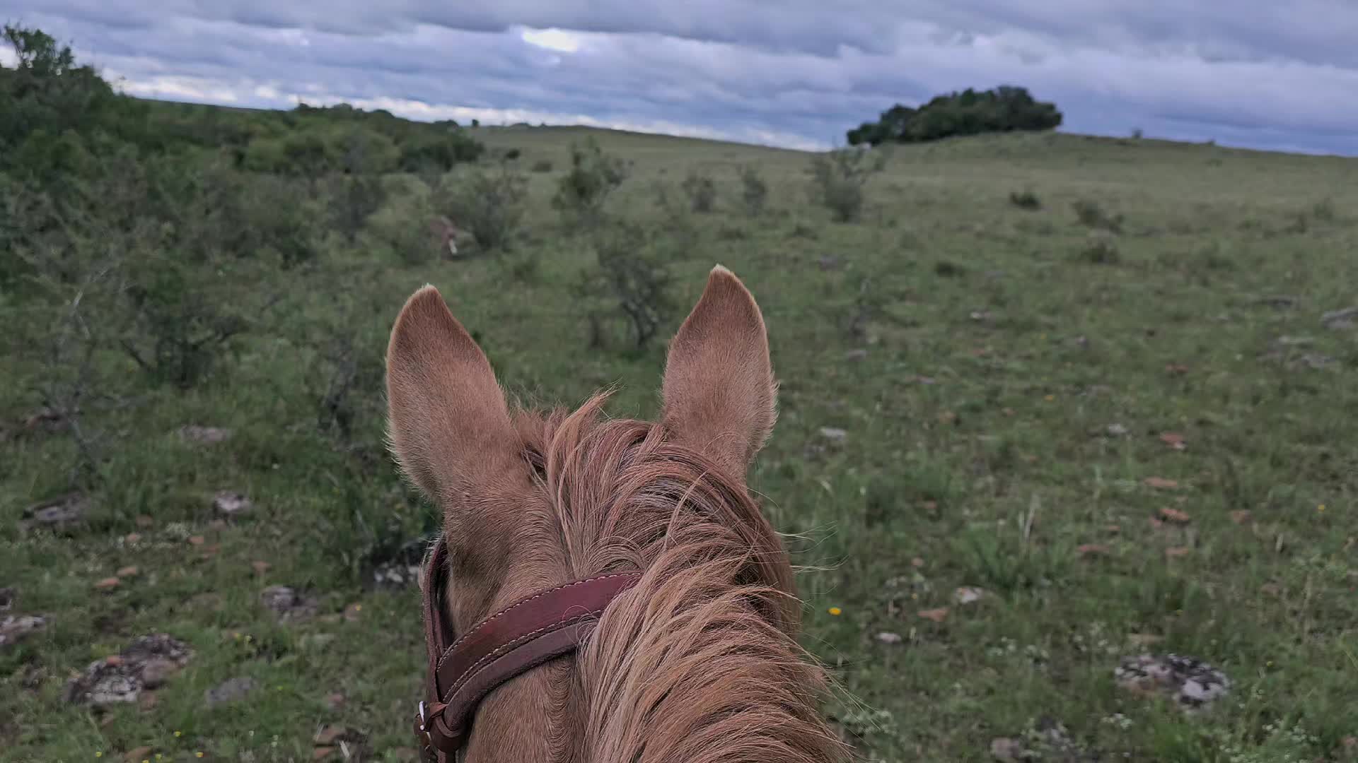 @cerro del sombrerito