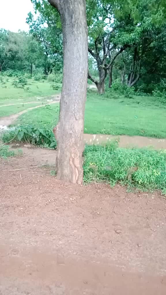 @ChandanBehera3165