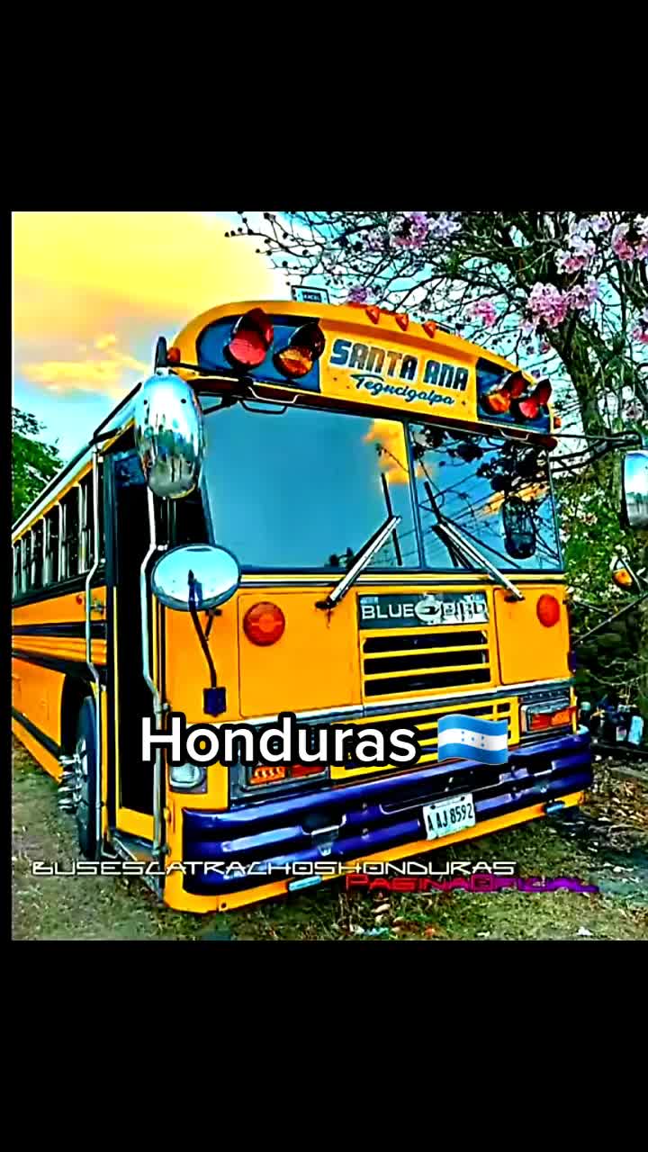 @user43165013821