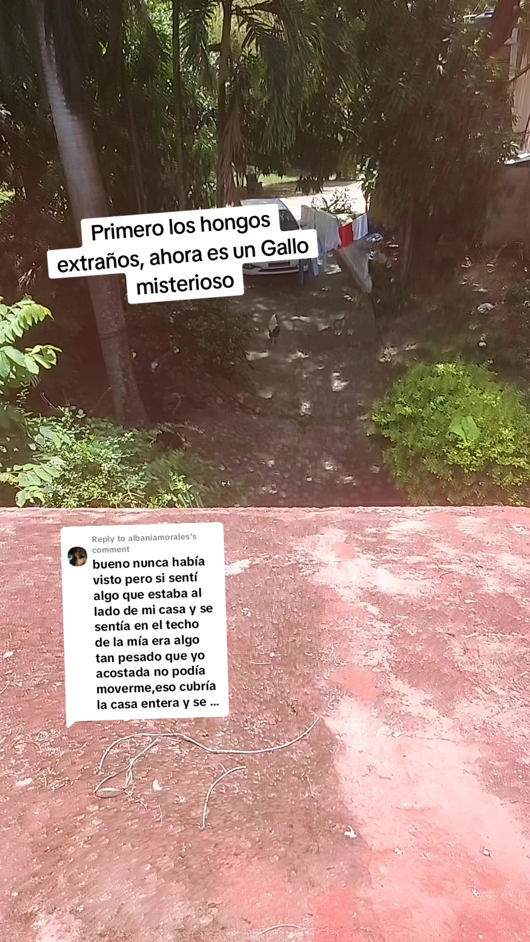 @Reliquia Dominicana