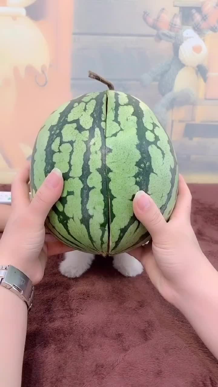 @wutao11059
