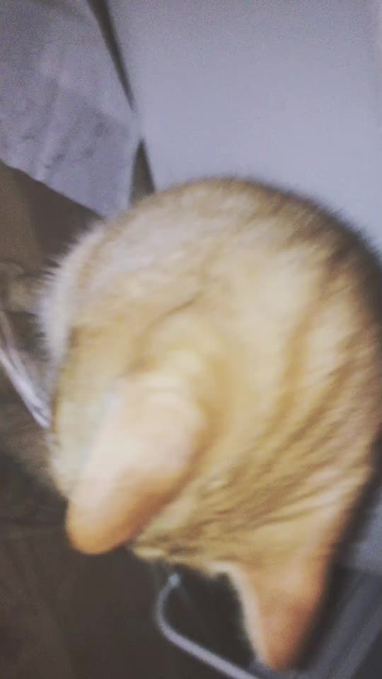 @_ᕼI_ᕼI_