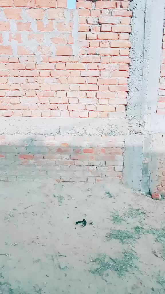 @Salman Azmi