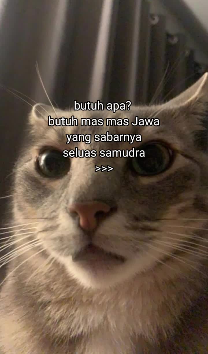 @Isti💫🥰