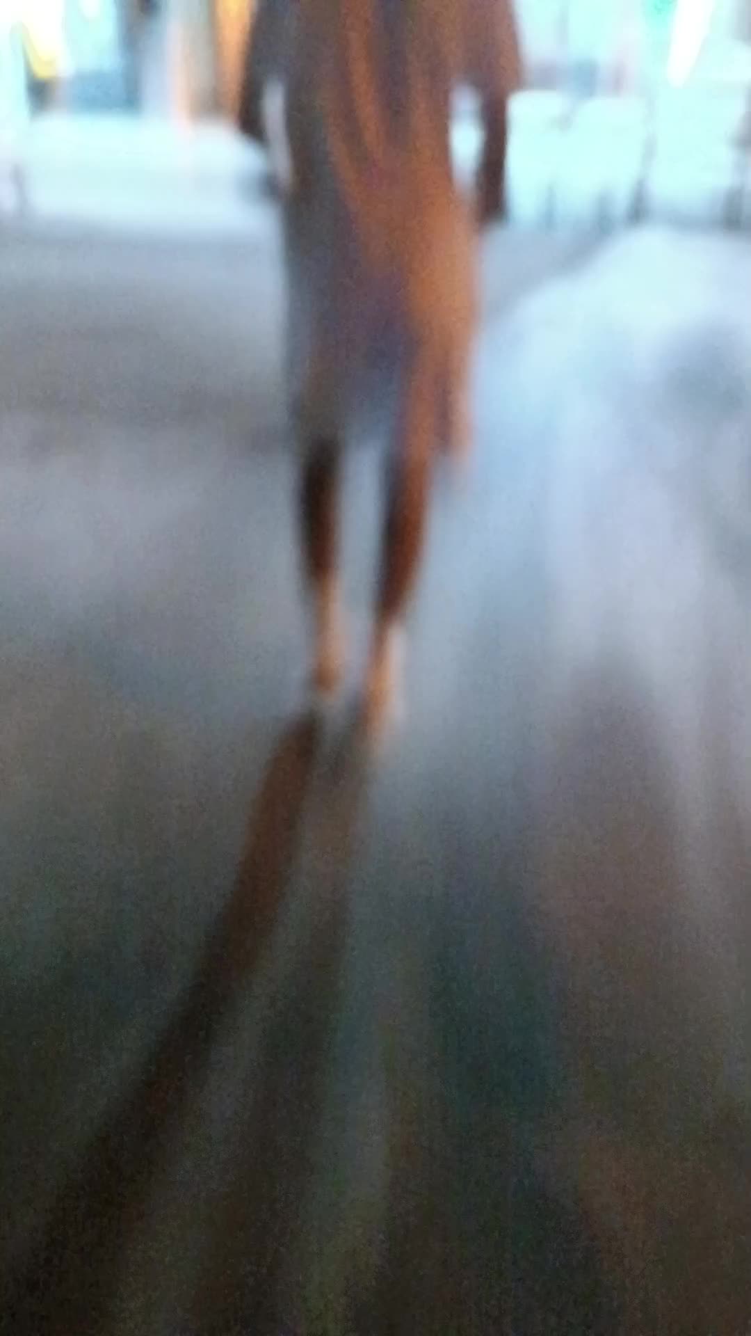 @nesoculasamteuautobus2
