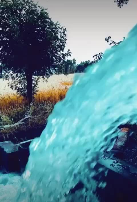 @Harpinder