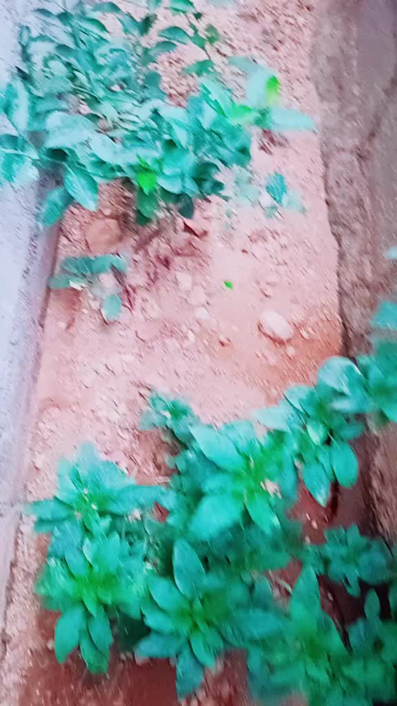 @naresh mudhuraj
