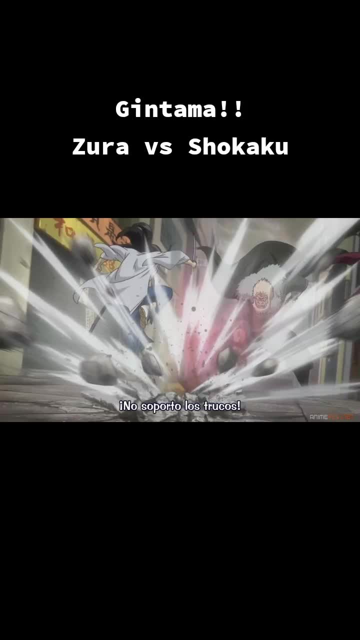 @El Ashura