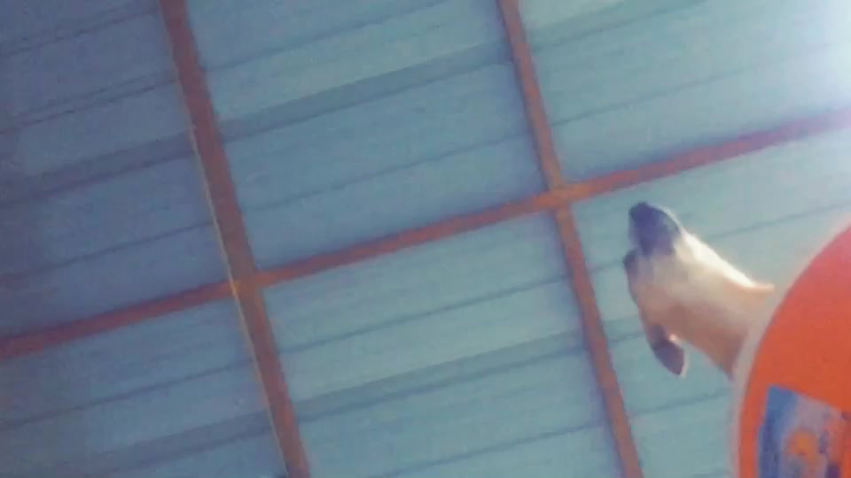 @Aloha