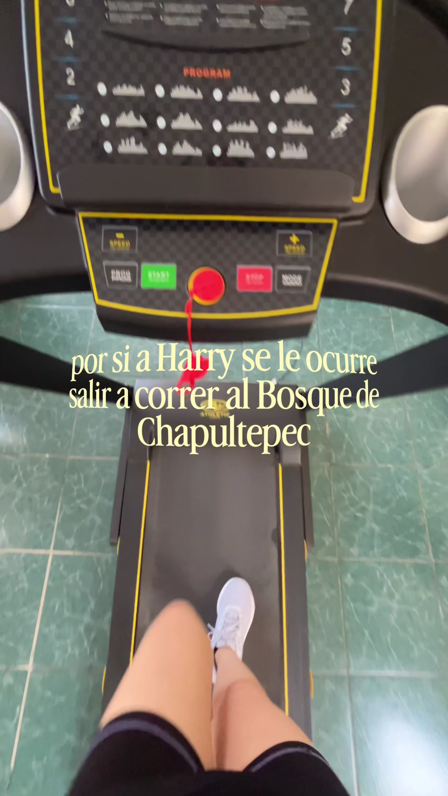 @dani
