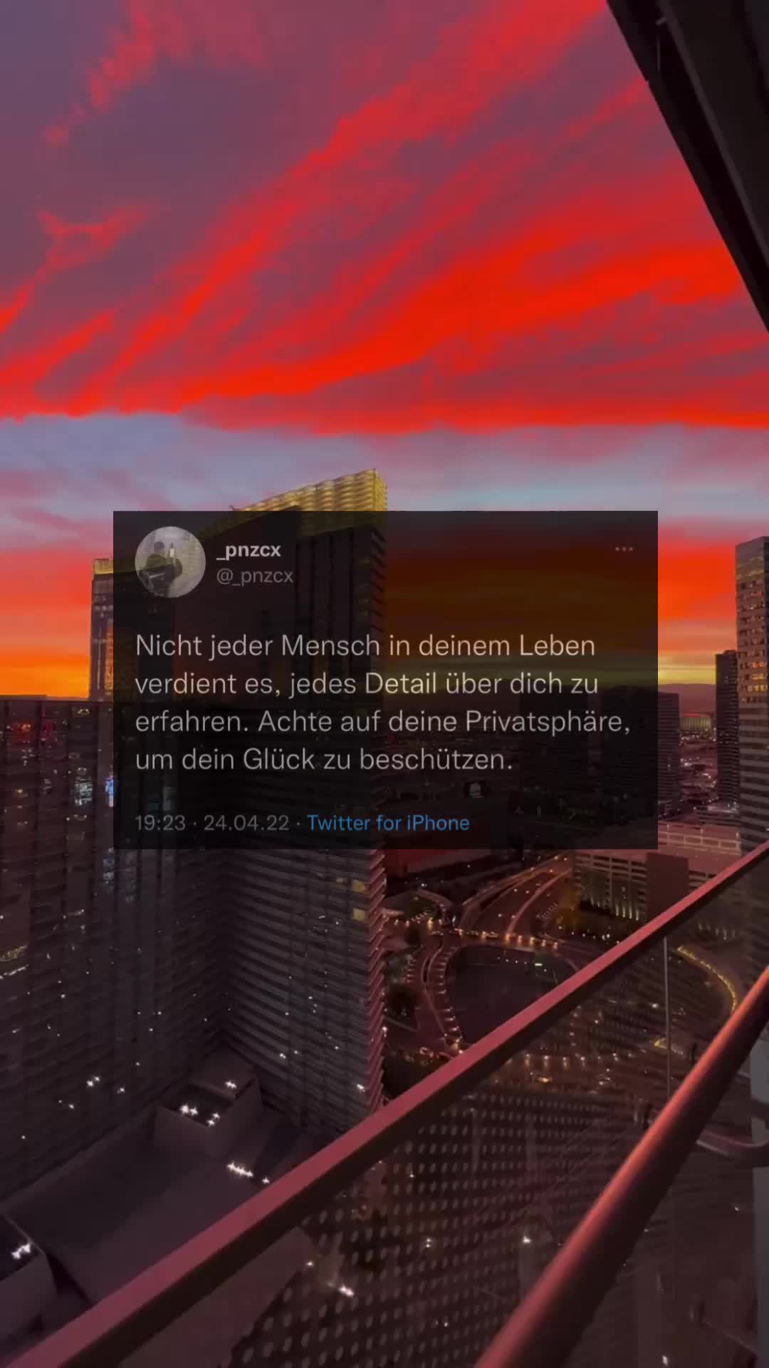 @🦂 𝐩𝐧𝐳𝐜𝐱 🦂