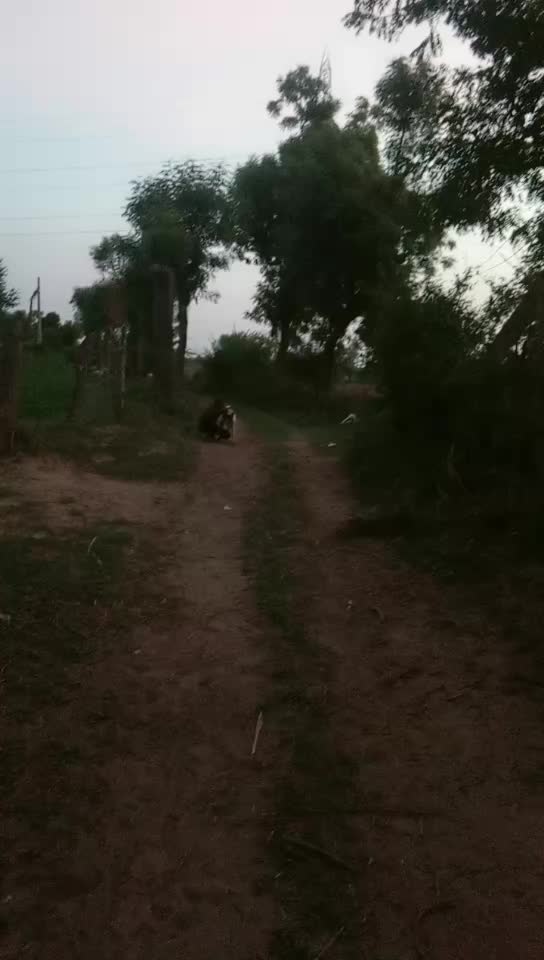 @solanki Rahul gj24