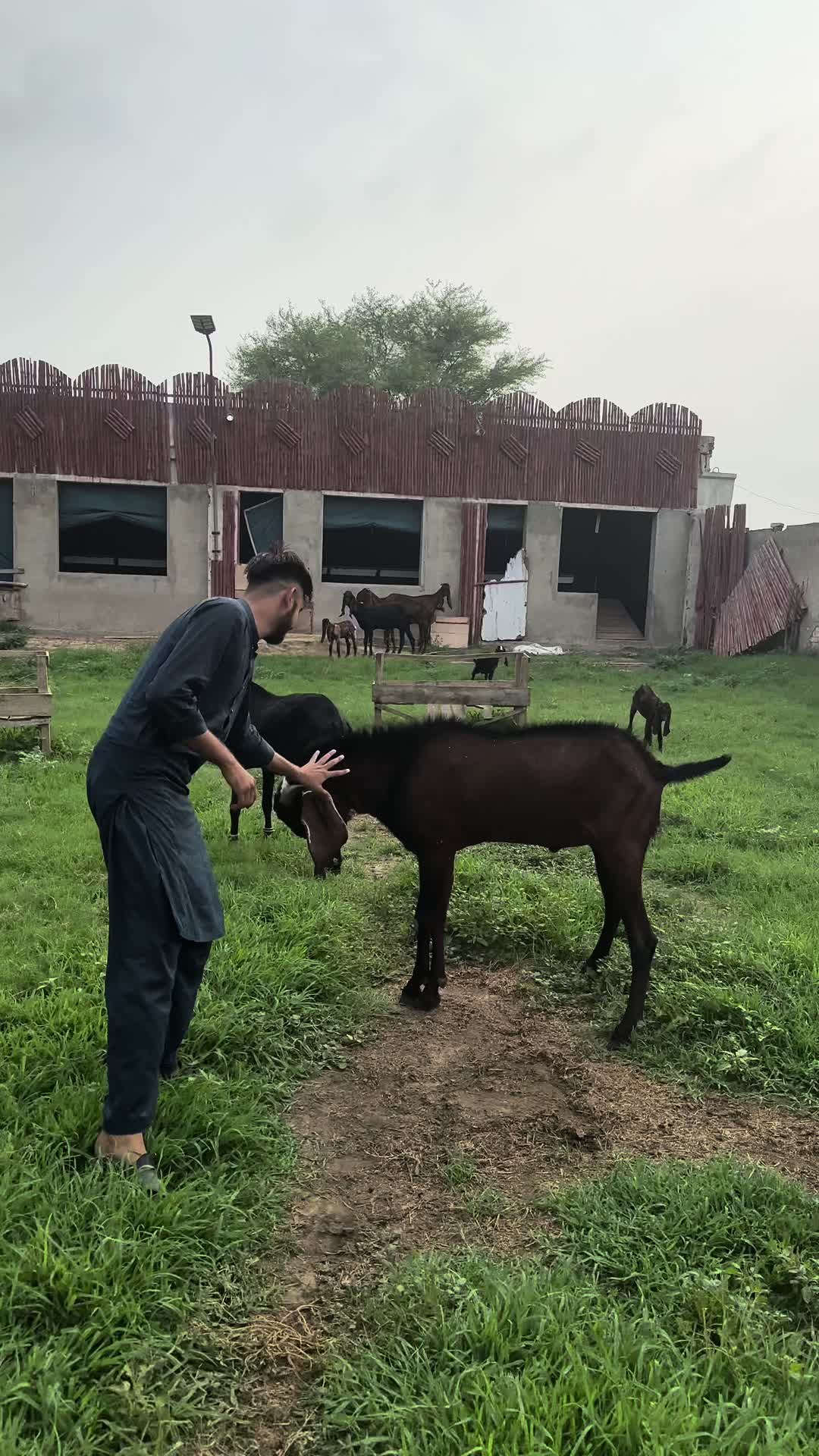 @ZA Farms