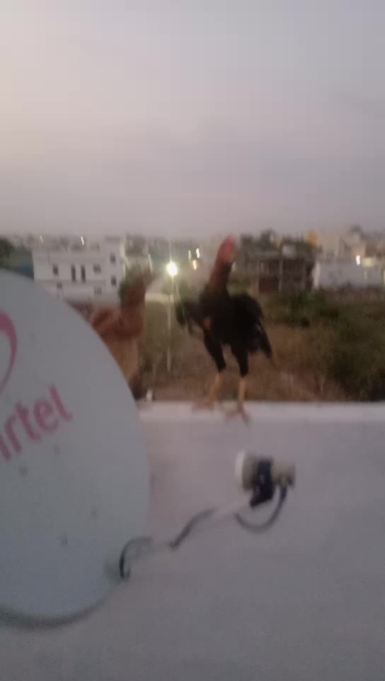 @Venkatesh Tanneeru