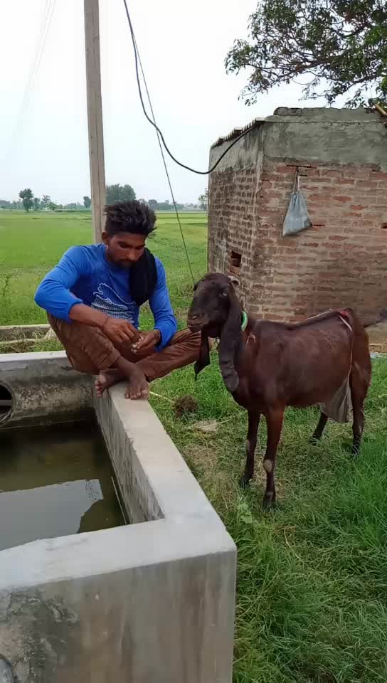@Lovepreet Singh lavi